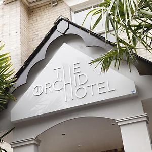 The Orchid Hotel